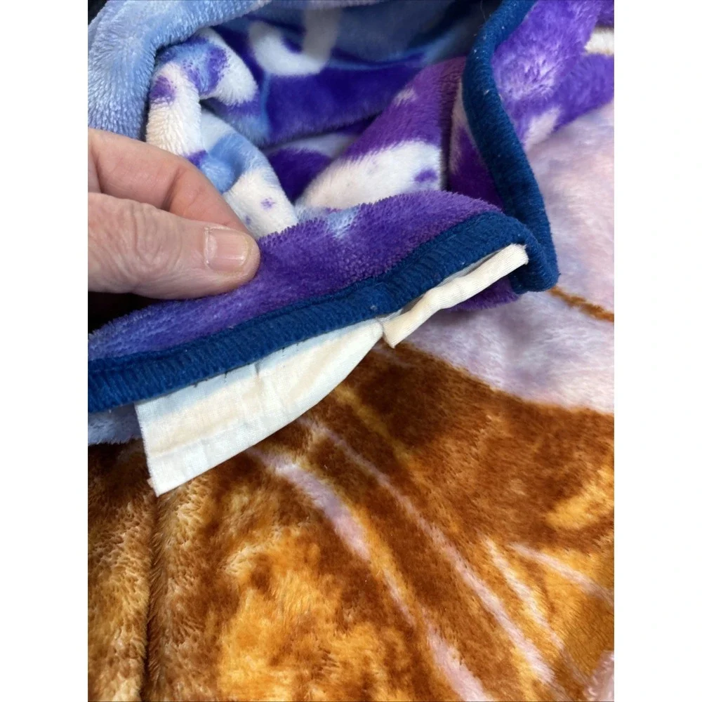 2019 The Northwest 37x49 Frozen II Throw Blanket 